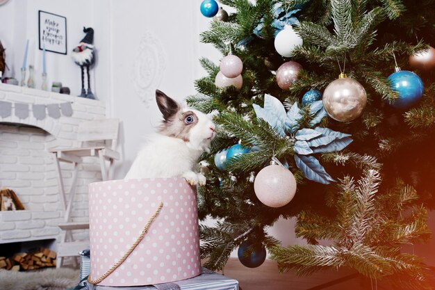 Lapin drôle à la boîte de cadeaux sous l'arbre du nouvel an Concept de vacances d'hiver heureuses