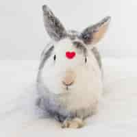 Photo gratuite lapin avec ornement coeur rouge sur le devant