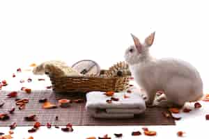 Photo gratuite lapin avec des produits de spa et des pétales de rose