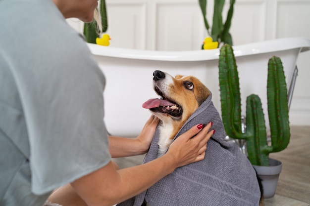 Photo gratuite laver un chien à la maison