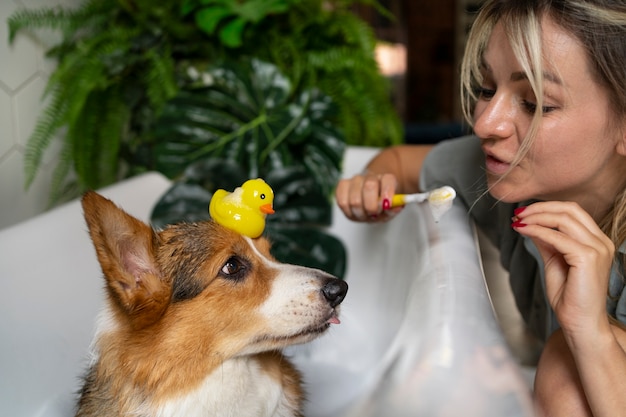 Photo gratuite laver un chien à la maison