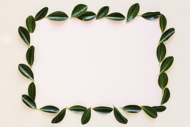 Lay plat de cadre avec décoration de feuilles