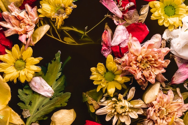 Photo gratuite lay plat multi fleurs colorées dans l'eau