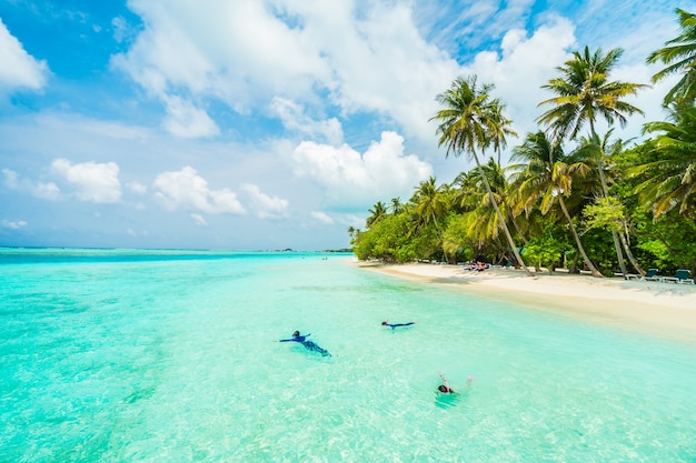 Île des Maldives