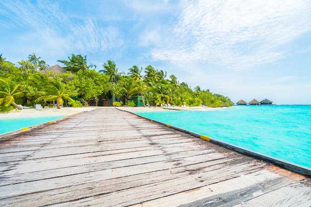 Île des Maldives