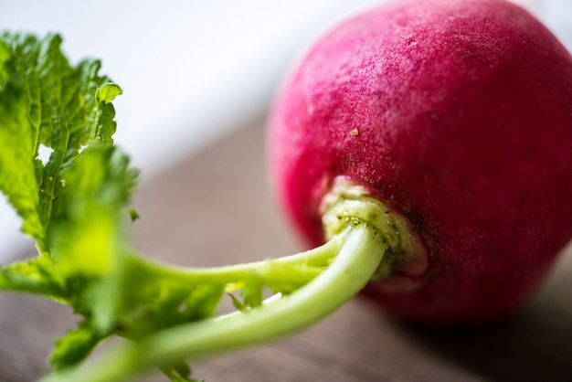 Photo gratuite légume radis rouge frais