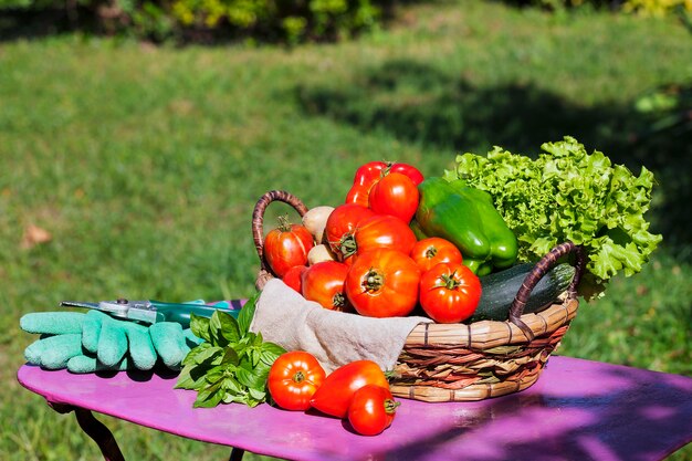 Légumes dans un panier sous la lumière du soleil