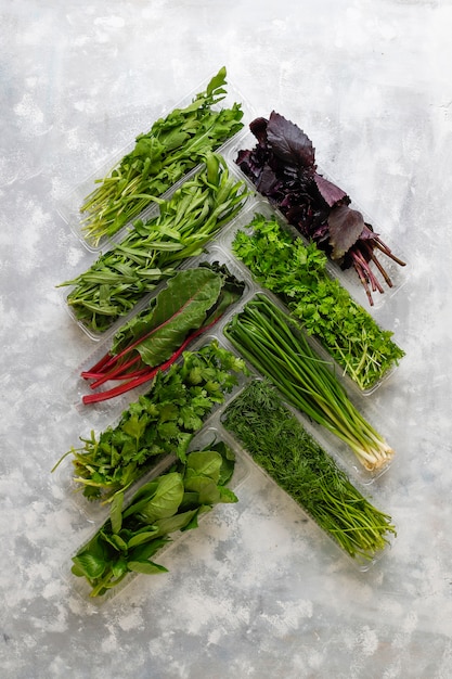 Légumes verts frais, coriandre, laitue, basilic pourpre, coriandre de montagne, aneth, oignon vert dans des boîtes en plastique recouvertes de béton gris