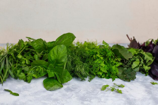 Légumes verts frais, coriandre, laitue, basilic pourpre, coriandre de montagne, aneth, oignon vert dans des boîtes en plastique recouvertes de béton gris