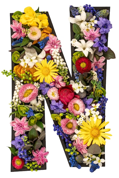 lettre faite de fleurs et de feuilles naturelles sur fond transparent