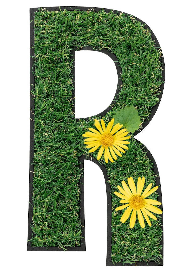 Photo gratuit lettre r faite d'herbe verte avec des fleurs isolées sur blanc