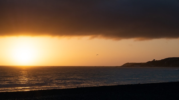 Lever du soleil chaud tourné avec un océan calme et trois mouettes tournées à kaikoura en nouvelle-zélande
