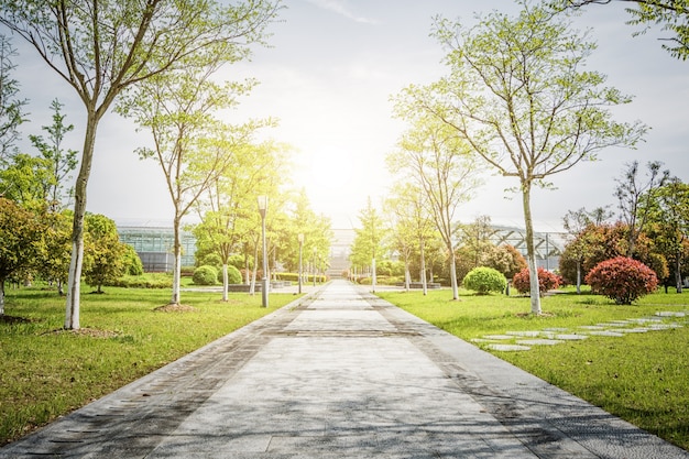 Photo gratuite lever du soleil dans le magnifique parc