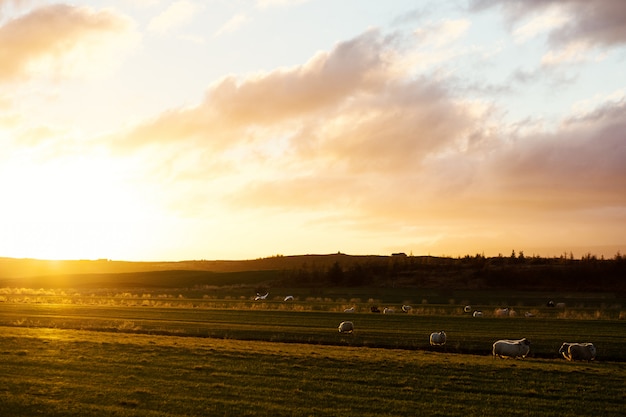 Photo gratuite lever de soleil dans le village