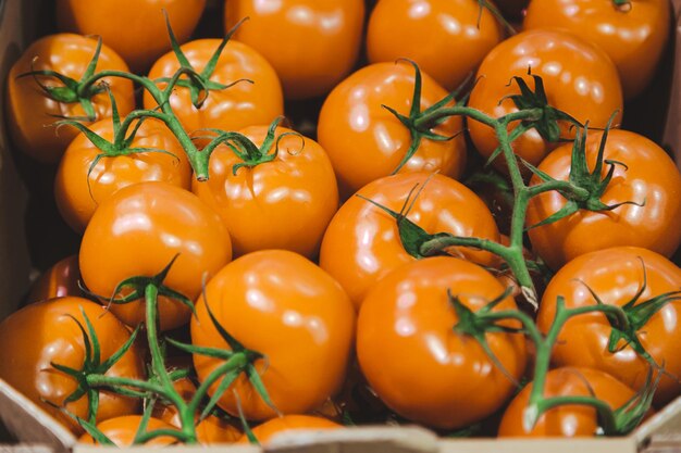 Libre de tomates dans une boîte sur le comptoir