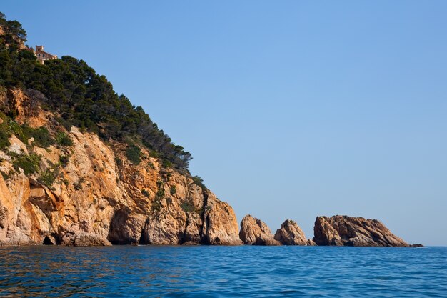 ligne de rivage courbe avec des falaises