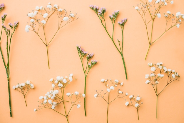 Photo gratuite lilas et fleurs blanches