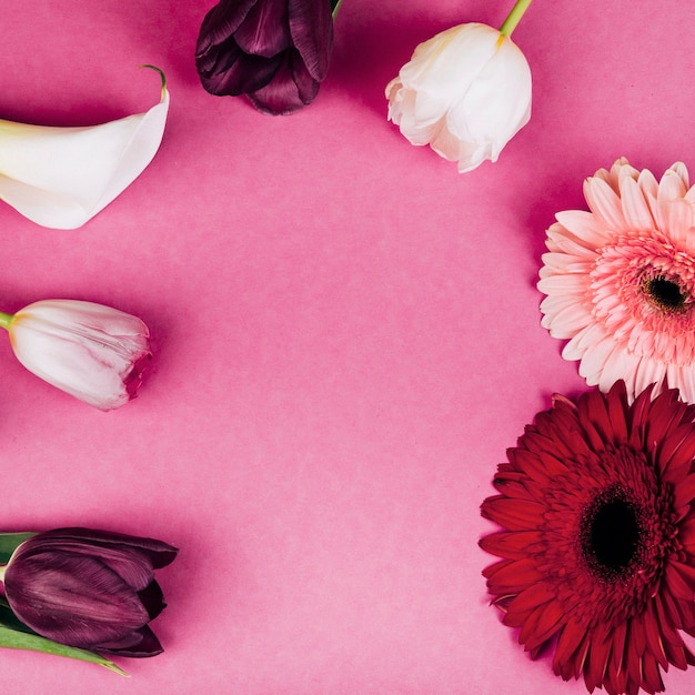 Lis arum blanc délicat; les tulipes; fleurs de gerbera sur fond rose
