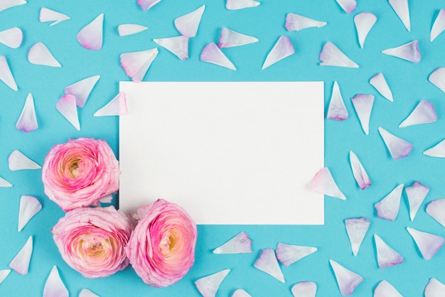 Photo gratuite liste blanche avec des fleurs sur fond de bight avec des pétales