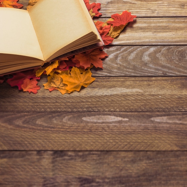 Livre et feuilles sur la table