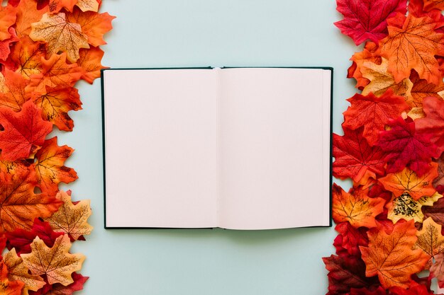 Livre ouvert dans le cadre des feuilles d'automne