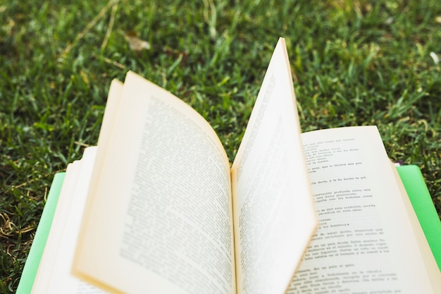 Livre ouvert sur l&#39;herbe verte