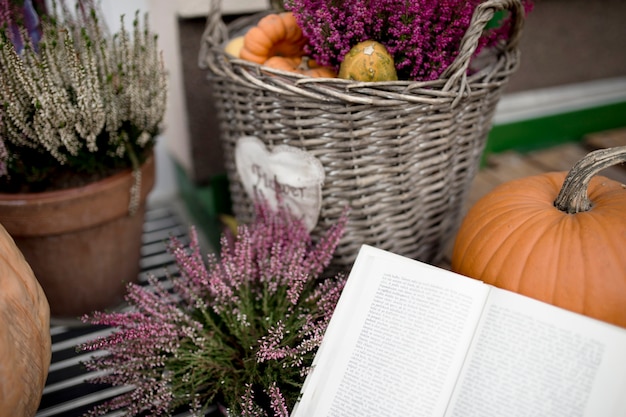 Livre ouvert près de citrouilles et de fleurs