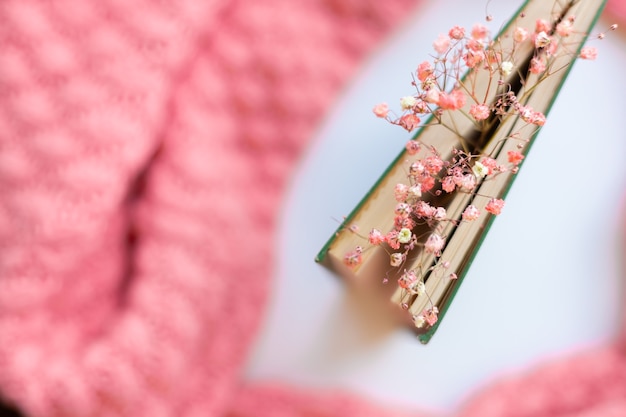 Livre vert avec des fleurs séchées sur un pull rose en tricot chaud