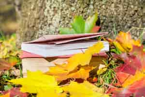 Photo gratuite livres anciens avec des feuilles sèches