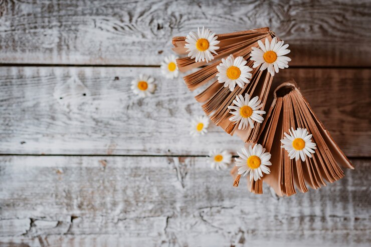 Livres anciens avec des fleurs de marguerites des champs blancs. . Espace libre pour le texte
