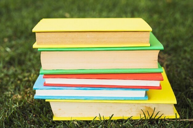 Livres avec des couvertures brillantes vierges sur l&#39;herbe