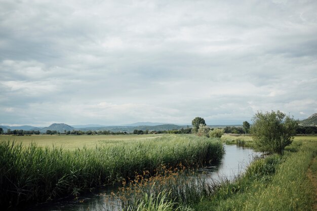 Long plan de pâturage vert avec jet d&#39;eau