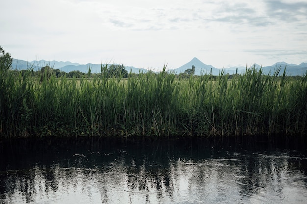 Long plan de la rivière dans les terres agricoles