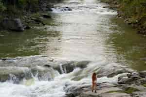 Photo gratuite long shot femme debout sur un rocher au bord de la rivière