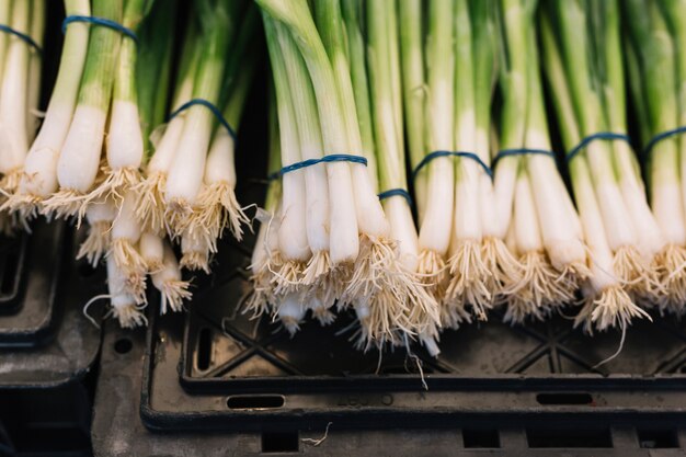 Lot d&#39;oignons verts sur des caisses en plastique