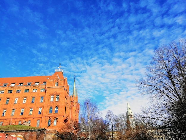 Low angle shot d'une cathédrale entourée d'arbres sans feuilles sous un ciel nuageux à Szczecin, Pologne