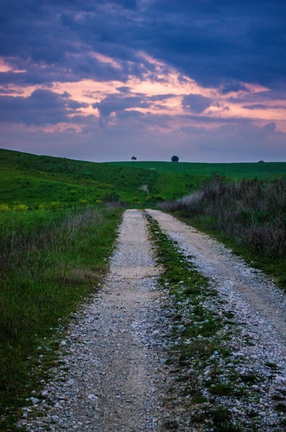 Low angle shot vertical d'un coucher de soleil à couper le souffle sur une route au milieu d'un paysage verdoyant