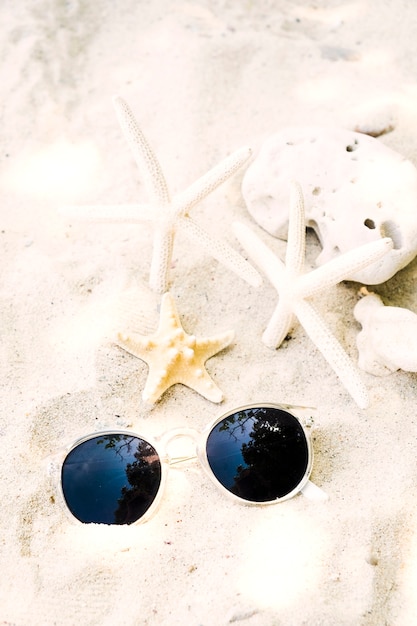 Lunettes de soleil avec étoile de mer et corail sur la plage