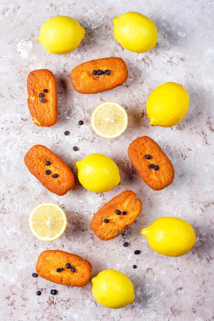 Madeleine - petits biscuits traditionnels français faits maison avec des pépites de citron et de chocolat.