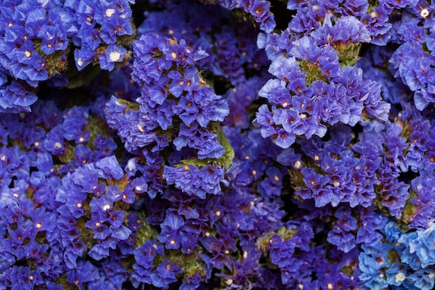 Magnifique arrangement de fond de fleurs