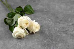 Photo gratuite magnifique bouquet de roses blanches posé sur du marbre.