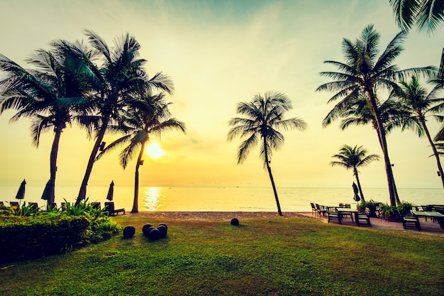 Photo gratuite magnifique cocotier sur la plage et la mer