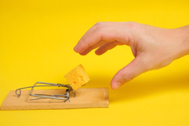 La main atteint un morceau de fromage dans une souricière sur fond jaune.concept d'affaires, de vie et de travail acharné et de cadeaux.