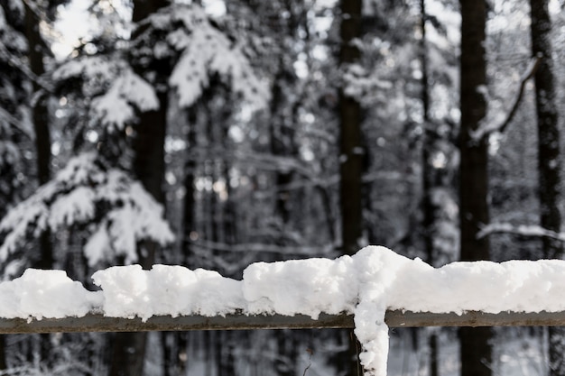 Main courante en bois enneigée en forêt