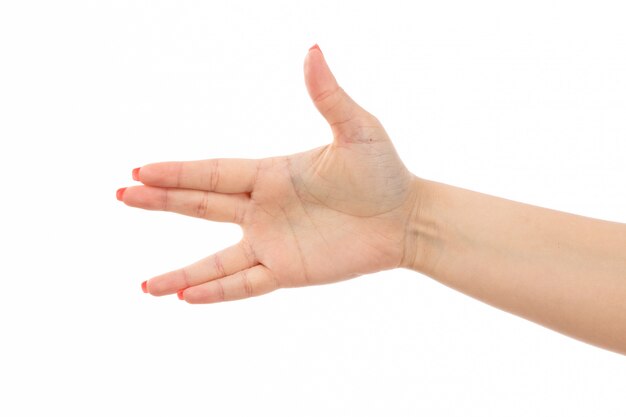 Une main féminine vue de face avec des ongles colorés sur le blanc