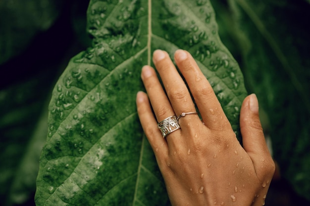 Photo gratuite la main de la femme avec des anneaux agrandi