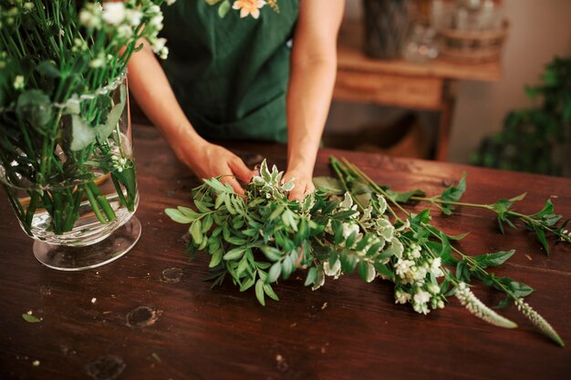 Main de femme arrangeant des plantes dans un vase