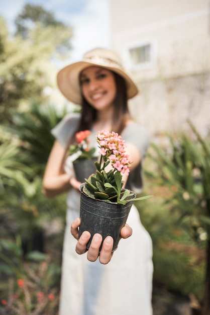 Main de femme heureuse sur plante en pot de fleur rose