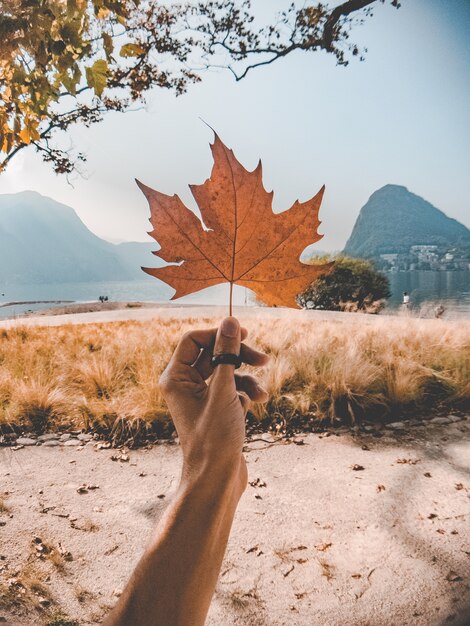 Main de femme tenant une feuille d'érable séchée dans un champ herbeux avec de belles montagnes