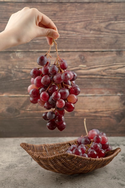 Main de femme tenant une grappe de raisin rouge sur fond en bois.